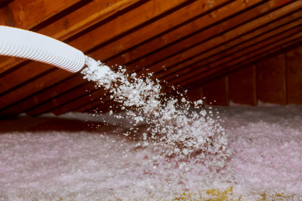 Best Specialty Insulation in Los Luceros, NM
