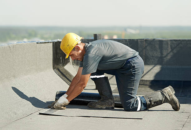 Best Insulation Installation Services in Los Luceros, NM